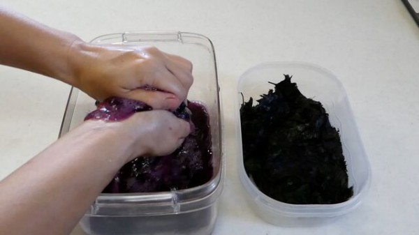 赤紫蘇の塩漬け作り方 家庭菜園はじめよう 自然農法 畑を楽しむ 12ヶ月