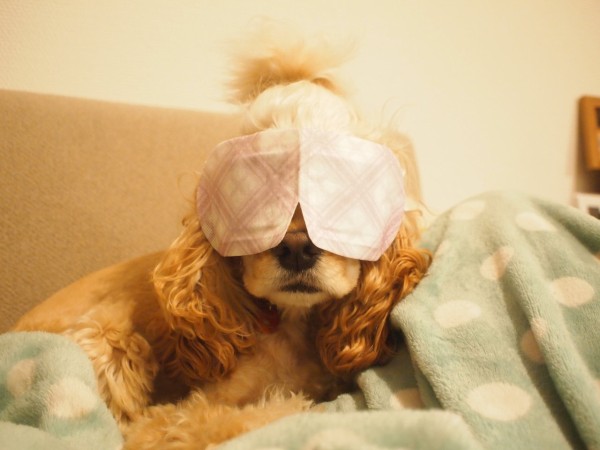 蒸気でホットアイマスク だいもん部長ブログ