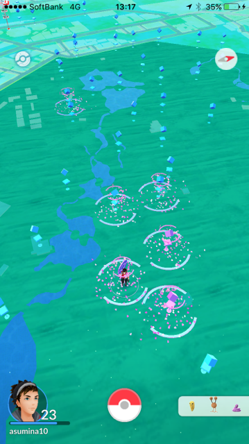 歩きスマホ対策 新宿御苑にてポケモンgo しんごりんの気まぐれブログ