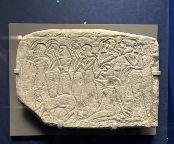 古代エジプト展に行きました~ミイラの臓器入れの人気格差よ~ : 唐沢