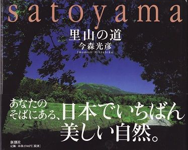 どこにでもあった 日本の美しい風景 はどこへいったのか 図書館のねずみ