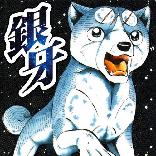 フィンランドの国民的アニメといえば 答え 銀牙 流れ星 銀 まとめたニュース