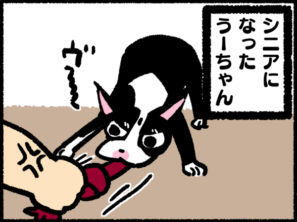 年々大きくなる犬のオナラの音 ぼ 365