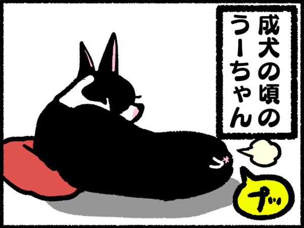 年々大きくなる犬のオナラの音 ぼ 365