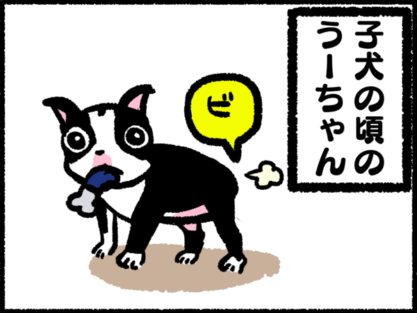 年々大きくなる犬のオナラの音 ぼ 365