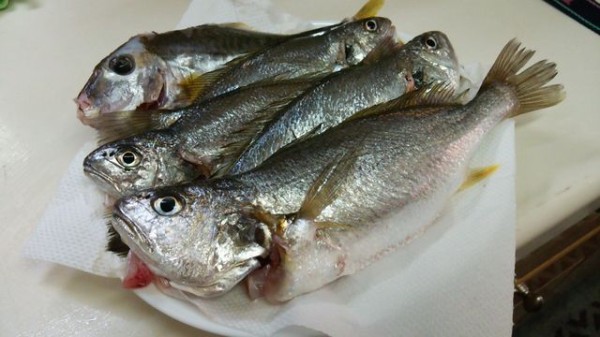 イシモチの唐揚げ さっぱりあんかけ 房総フィッシング