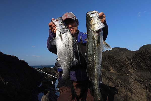 房総半島のスズキとヒラスズキ 快釣 房総爆釣日記 房総半島のスズキとヒラスズキ 快釣 房総爆釣日記
