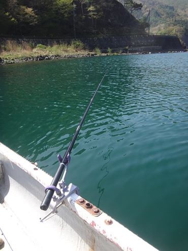 西湖にて ノベ竿のヒメマス釣り 房総爆釣日記 西湖にて ノベ竿のヒメマス釣り 房総爆釣日記