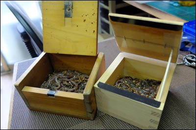 ハゼ用エサ箱制作記 : 東京葛飾堀切菖蒲園またはお花茶屋発