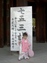 七五三 我輩は短足コーギーboss チワワの五右衛門である