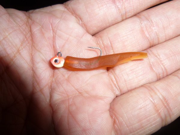 グミ ひもqでメバル釣り 爆釣 某プロの 続 言いたいことも言えない こんな世の中じゃ