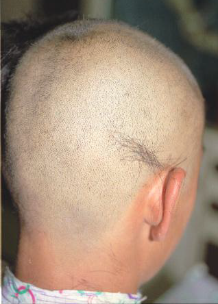 夜の床屋さん 坊主大鑑