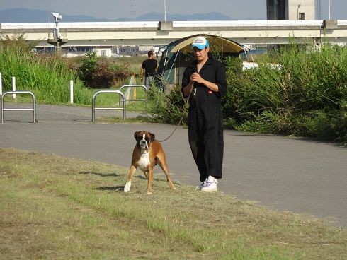 15年９月訓練会 2 写真撮影会 No Boxer No Life