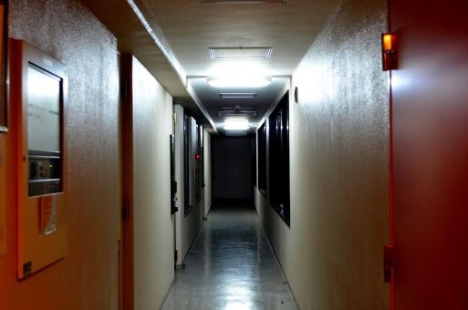 深夜にインターホンが鳴った時の恐怖は異常 ウォッチャーの木まとめブログ 深夜にインターホンが鳴った時の恐怖は異常 ウォッチャーの木まとめブログ