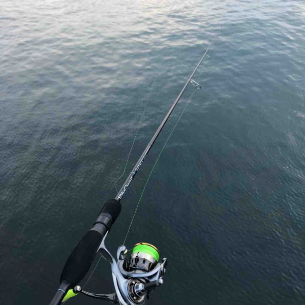 ブルーカレント　74Ⅱ のんびり釣りでもいかがですか？:ブルーカレント 74Ⅱインプレ