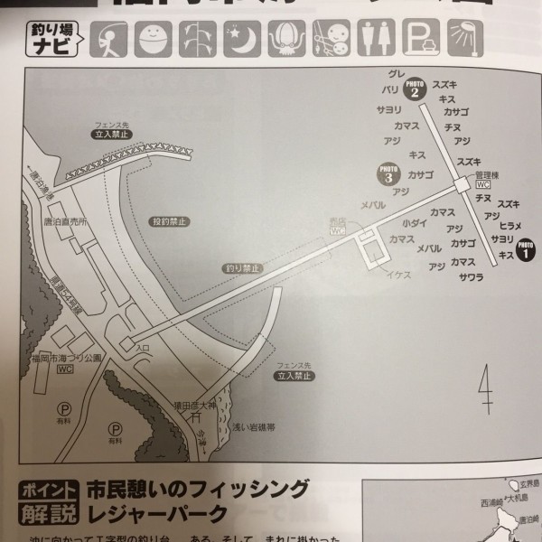 波止ガイド福岡版 : シーバス&ライトゲームな日々