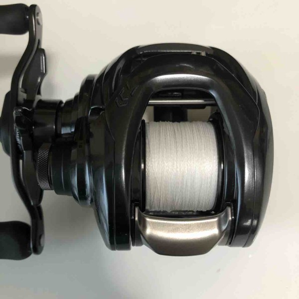 ベイトシーバス始めました リール編 シーバス ライトゲームな日々