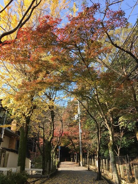 国登録有形文化財 小林聖心女子学院施設見学会 参加申込は11月11日まで ぶらり宝塚 ーハッピー地域メディアー