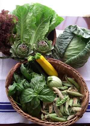 三浦半島朝採り野菜 湘 南 く い だ お れ ー