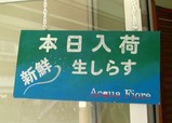 生しらすのペペロンチーノ 平塚 アクアフィオーレ Acqua Fiore 湘 南 く い だ お れ ー