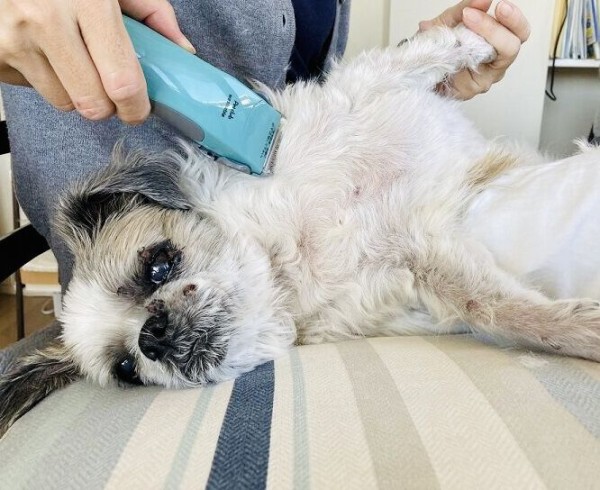 ロン毛にグッバイするポコさん フランス刺繍 Lesfils 耀子