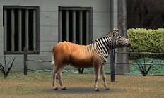 彡で学ぶ近年の絶滅動物 オリ報野球まとめブログ