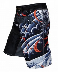 BULL TERRIER】風神雷神ラッシュガード、ファイトショーツ入荷