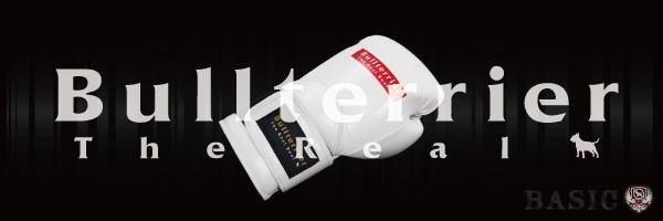 おすすめ商品紹介】BULL TERRIER ボクシンググローブ Basic
