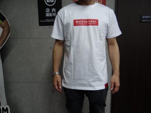 おすすめ商品紹介】高田道場×BULL TERRIERコラボ限定Tシャツ