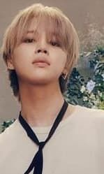 JIMIN MUSE ファブリックポスター新品未開封 NEW Official Jimin BTS MUSE Blooming & Serenade Folded