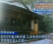 こくぼとものしん シビレスク