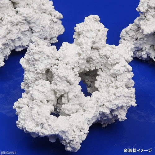 ライブロック導入の件 決定しました 我が家の小さな水族館