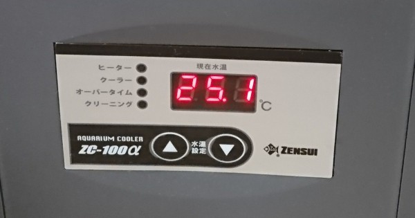 水槽用クーラーが初稼働しました : 我が家の小さな水族館