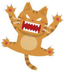 誰 初めて見る鏡に ネコパンチ イカ耳状態で Nnn広報課 ねこねこネットワーク広報課