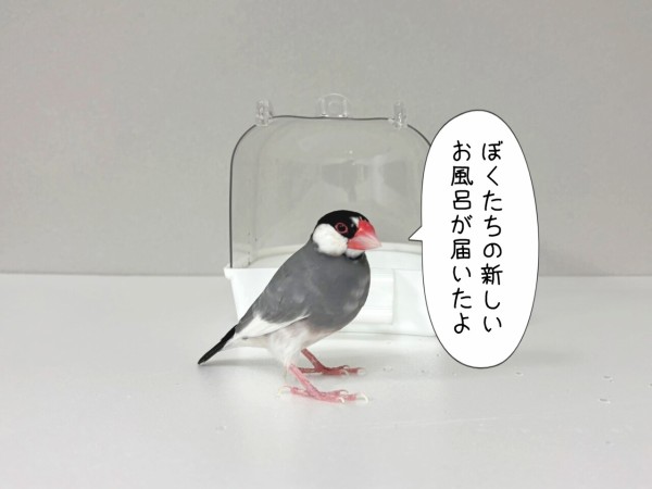 ぼくは世帯主だから : ブンチョ日誌 Powered by ライブドアブログ