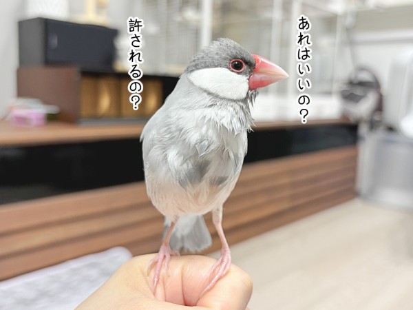 なんでそこにいるのー！？ : ブンチョ日誌 Powered by ライブドアブログ