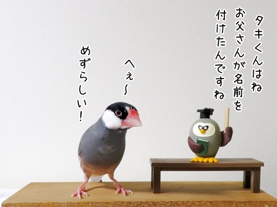 旦那の名付けのセンス ブンチョ日誌 Powered By ライブドアブログ