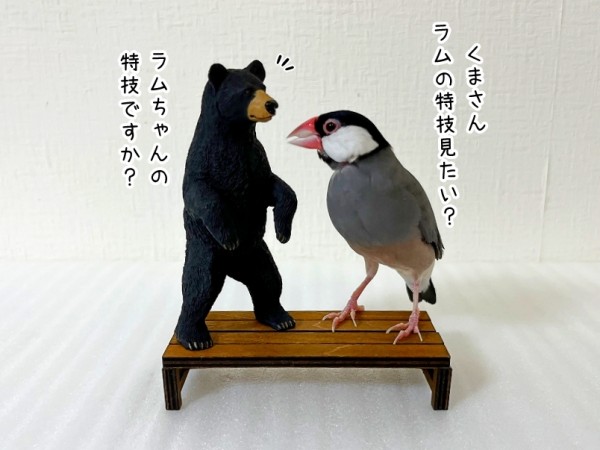 文鳥界でも珍しい技 : ブンチョ日誌 Powered by ライブドアブログ