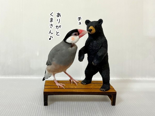 くまさんです くまさんはイケメン男子 : ブンチョ日誌 Powered by ライブドア