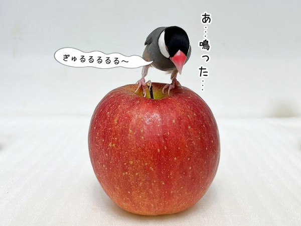 りんごの実☆プロフ必読さま オーダーページ！