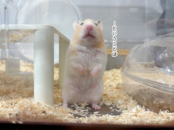 今日のプリン(7/20追記) : ブンチョ日誌 Powered by ライブドアブログ