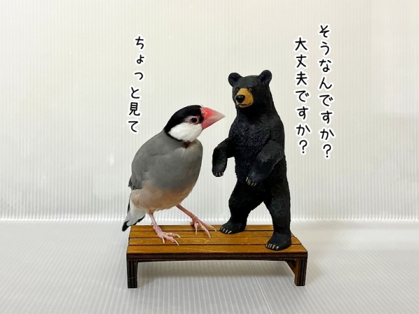 ハンドメイドぬいぐるみ作家「雷鳥つめ」さんが作ったぬいぐるみ