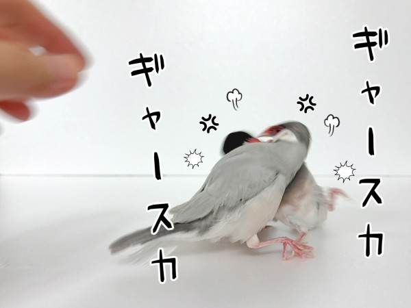 本日、大変に激しいです : ブンチョ日誌 Powered by ライブドアブログ