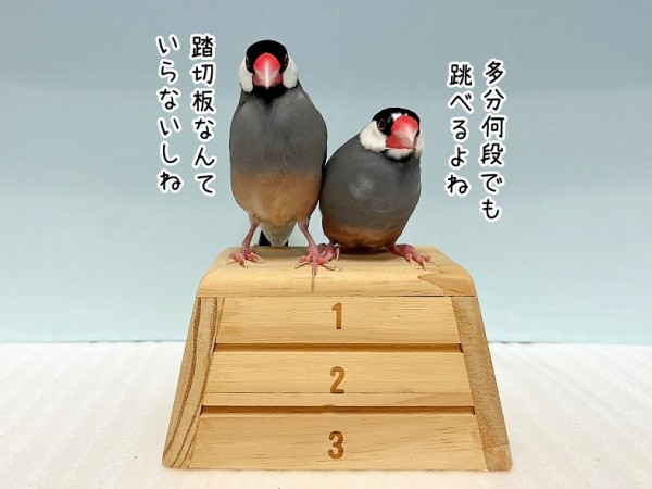 跳び箱の授業 : ブンチョ日誌 Powered by ライブドアブログ