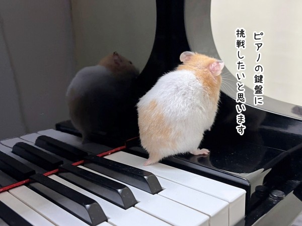今日のプリン(3/8追記) : ブンチョ日誌 Powered by ライブドアブログ