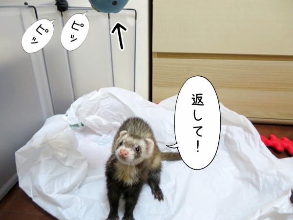 今日のヒメちゃん 10 23追記 ブンチョ日誌 Powered By ライブドアブログ 今日のヒメちゃん 10 23追記 ブンチョ日誌 Powered By ライブドアブログ