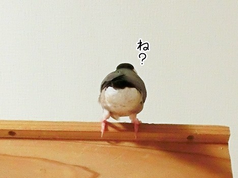 神々しい ブンチョ日誌 Powered By ライブドアブログ