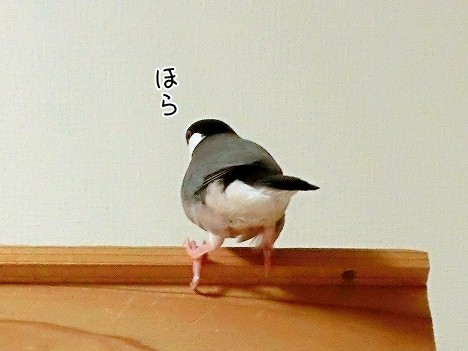 神々しい ブンチョ日誌 Powered By ライブドアブログ