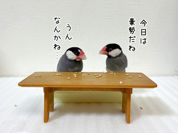 鳥たちのダイニングテーブル ブンチョ日誌 Powered By ライブドアブログ