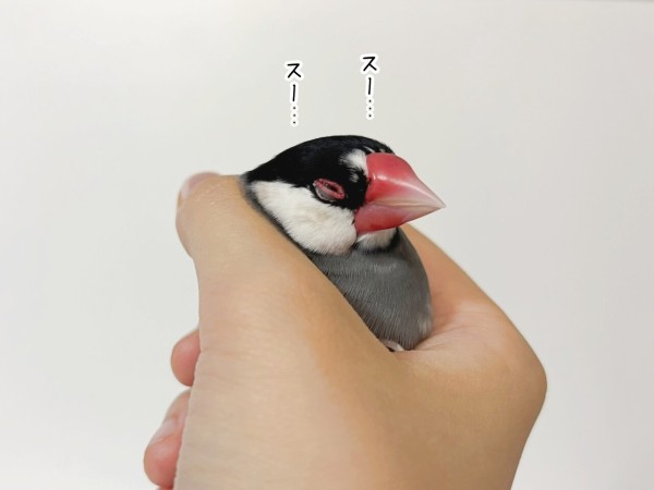 起きろーーー！！！ : ブンチョ日誌 Powered by ライブドアブログ